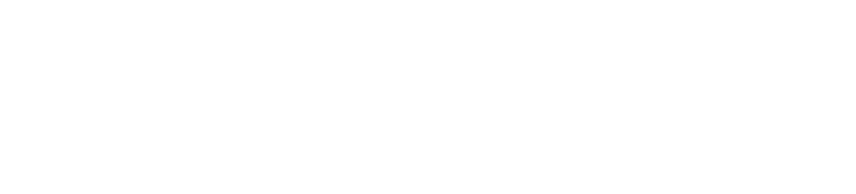 Shiny+logo